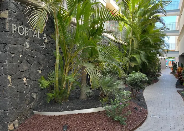 Tesoro Galeon 阿德耶